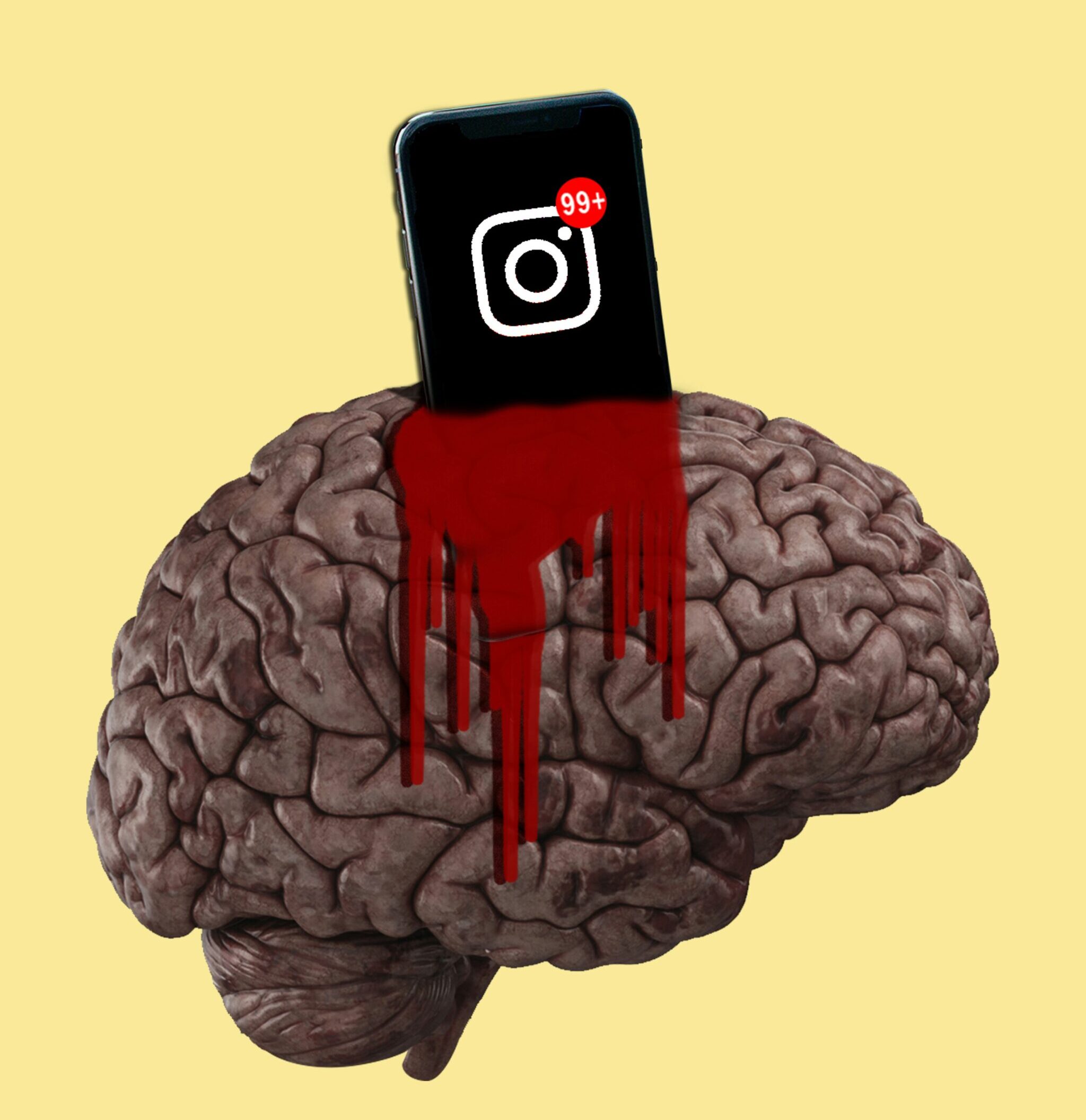 Les algorithmes nous façonnent-ils à notre insu ?